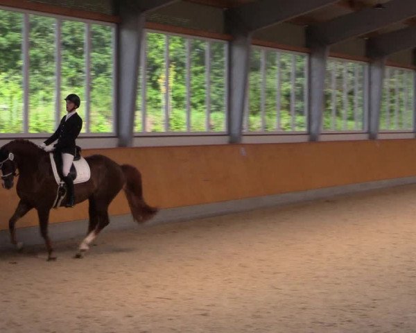 Reitturnier Münster-Amelsbüren 2023