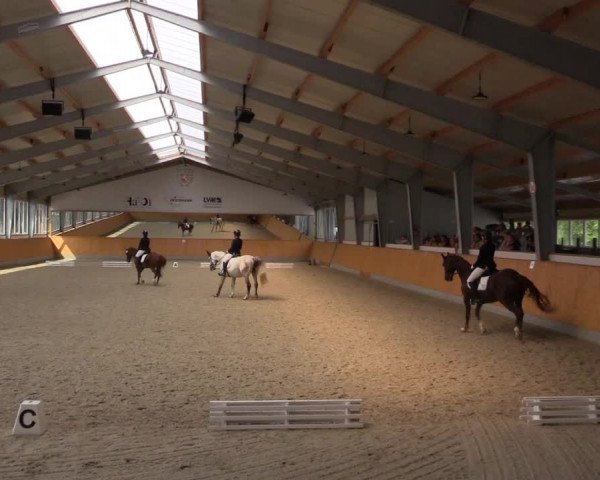Reitturnier Münster-Amelsbüren 2023