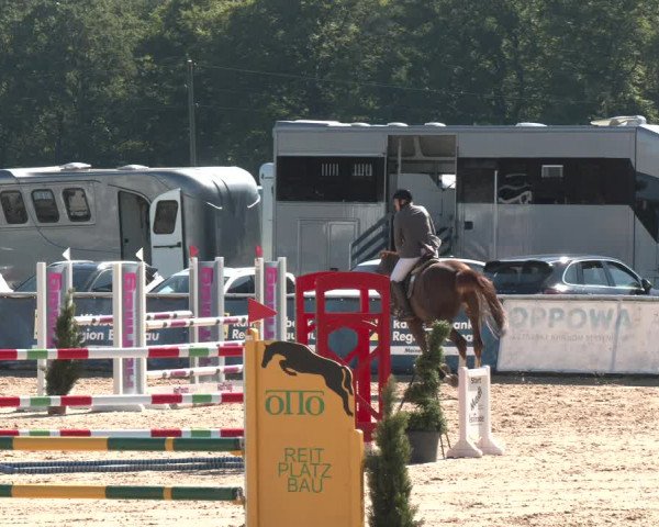 Reitturnier Ranshofen - Braunau am Inn 2023