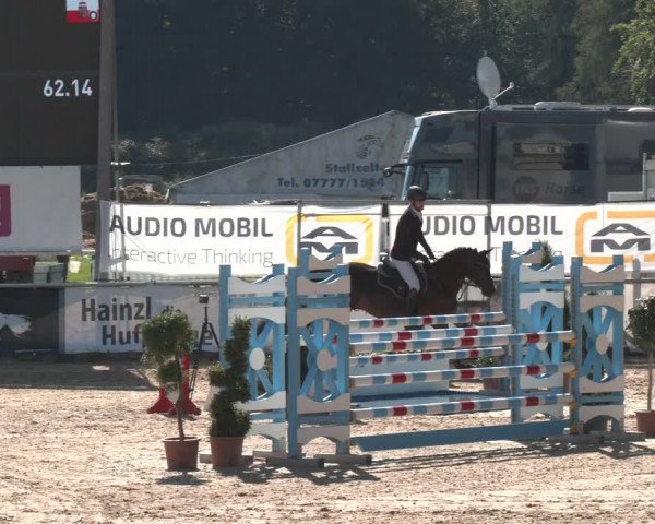 Reitturnier Ranshofen - Braunau am Inn 2023