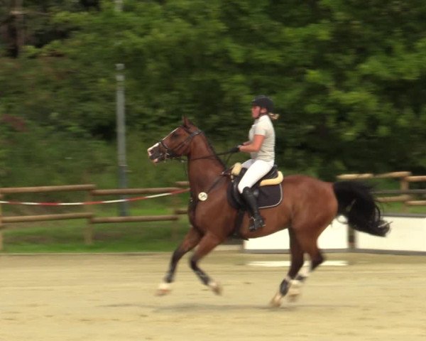 Reitturnier Vellinghausen 2023