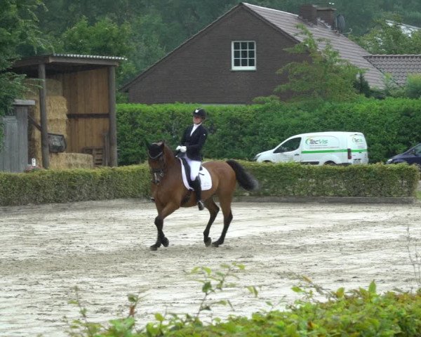 Reitturnier Olfen-Vinnum 2023