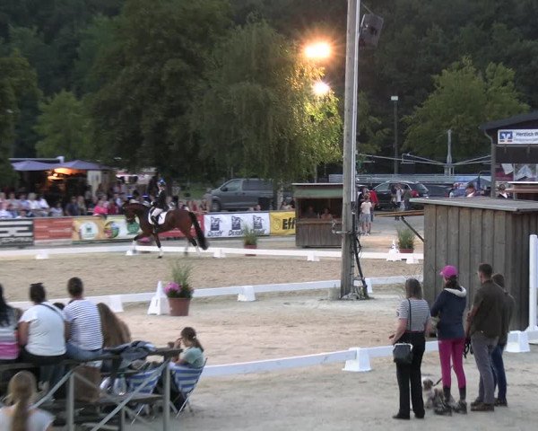 Reitturnier Olfen-Vinnum 2023