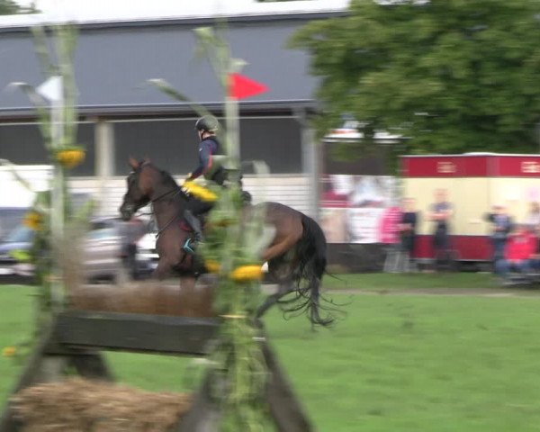 Reitturnier Olfen-Vinnum 2023