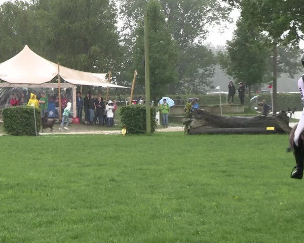 Reitturnier Olfen-Vinnum 2023