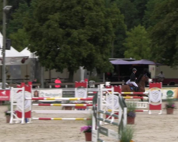 Reitturnier Olfen-Vinnum 2023