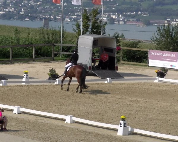 Reitturnier Wädenswil 2023