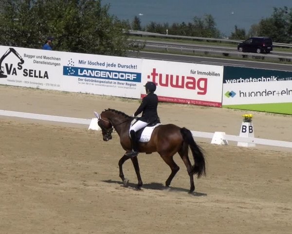 Reitturnier Wädenswil 2023