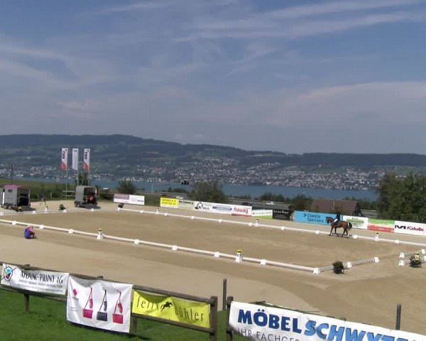 Reitturnier Wädenswil 2023