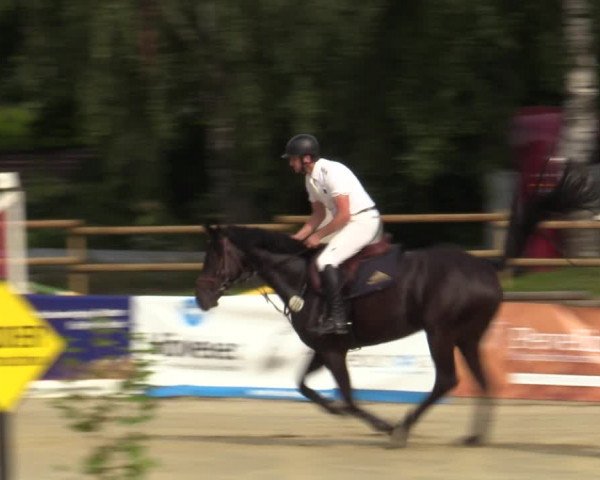 Reitturnier Vellinghausen 2023