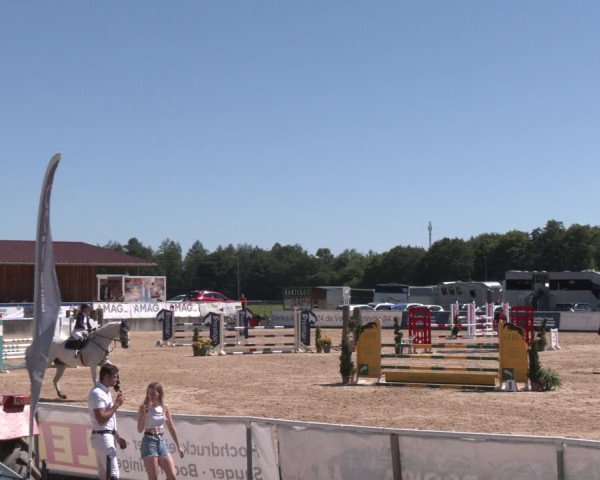 Reitturnier Ranshofen - Braunau am Inn 2023