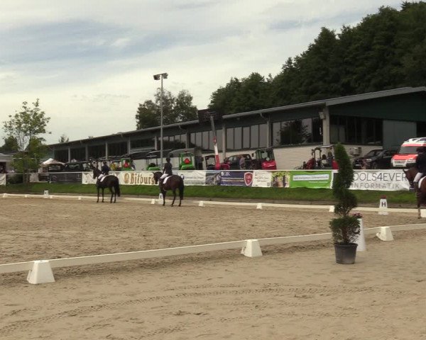Reitturnier Bergisch Gladbach - Hebborner Hof 2023