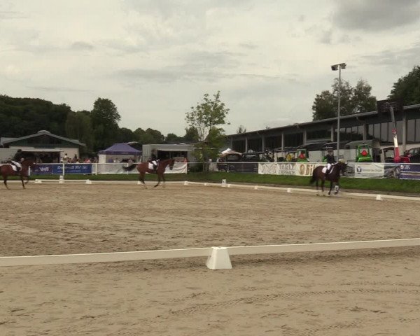 Reitturnier Bergisch Gladbach - Hebborner Hof 2023