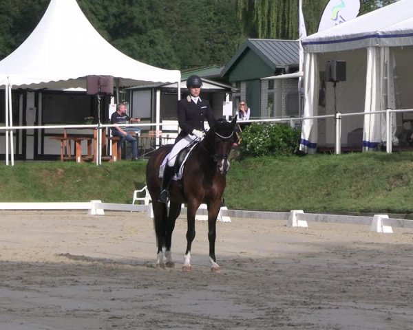 Reitturnier Bergisch Gladbach - Hebborner Hof 2023