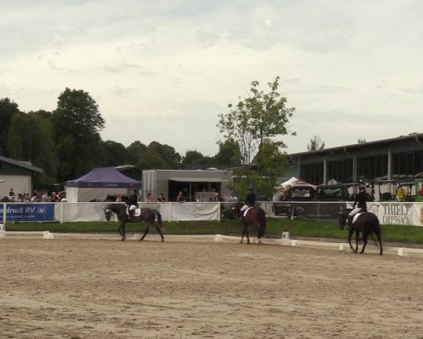 Reitturnier Bergisch Gladbach - Hebborner Hof 2023