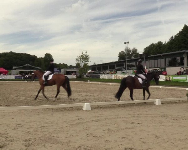 Reitturnier Bergisch Gladbach - Hebborner Hof 2023