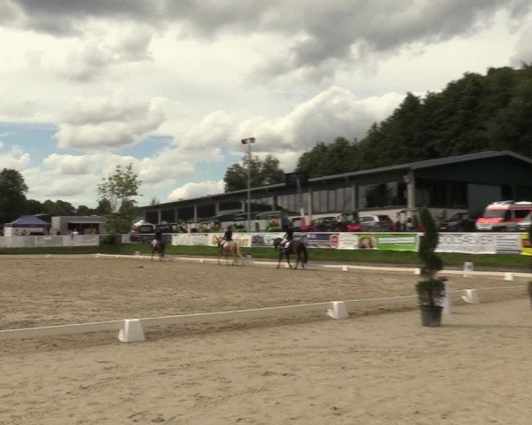 Reitturnier Bergisch Gladbach - Hebborner Hof 2023