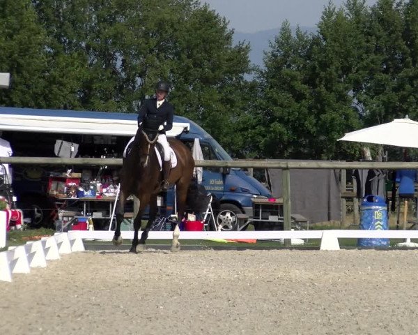 Reitturnier Dompierre 2023