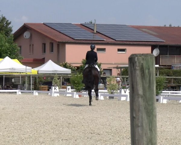 Reitturnier Dompierre 2023