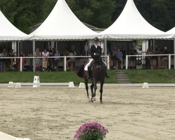 Reitturnier Bergisch Gladbach - Hebborner Hof 2023