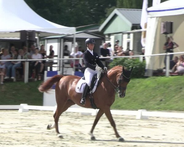 Reitturnier Bergisch Gladbach - Hebborner Hof 2023