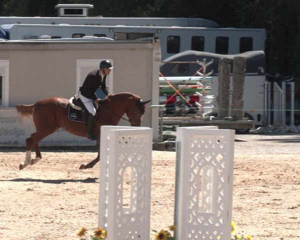Reitturnier Ranshofen - Braunau am Inn 2023