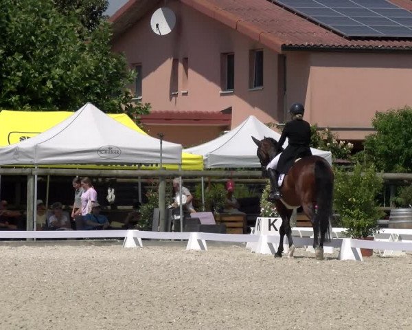 Reitturnier Dompierre 2023
