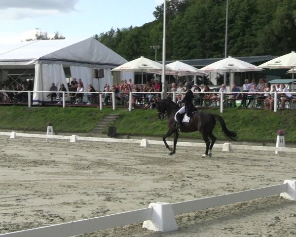 Reitturnier Bergisch Gladbach - Hebborner Hof 2023