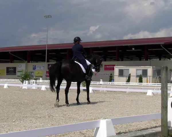 Reitturnier Dompierre 2023