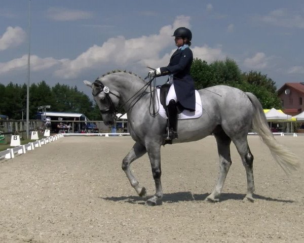 Reitturnier Dompierre 2023
