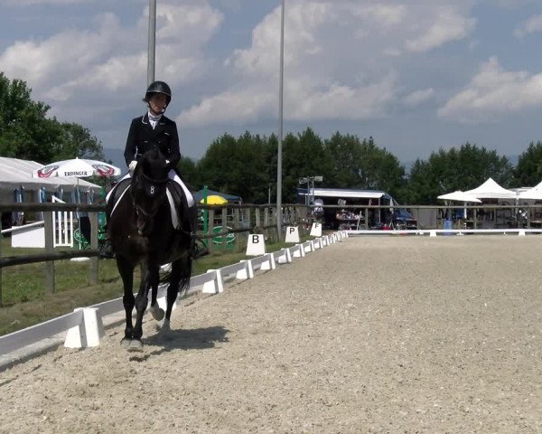 Reitturnier Dompierre 2023