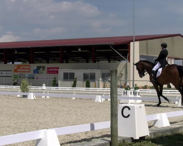 Reitturnier Dompierre 2023