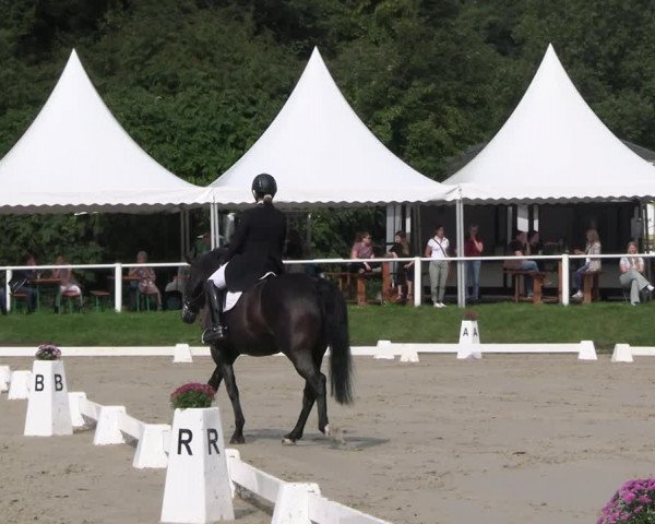 Reitturnier Bergisch Gladbach - Hebborner Hof 2023