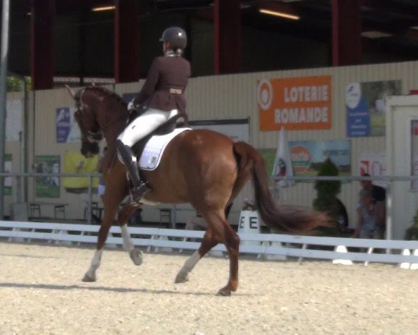 Reitturnier Dompierre 2023