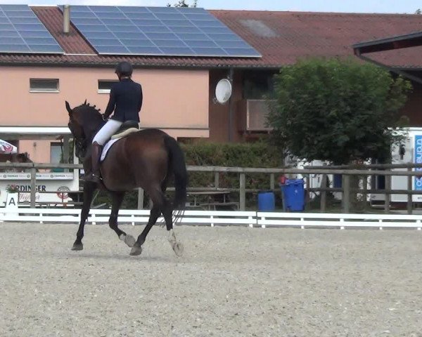 Reitturnier Dompierre 2023