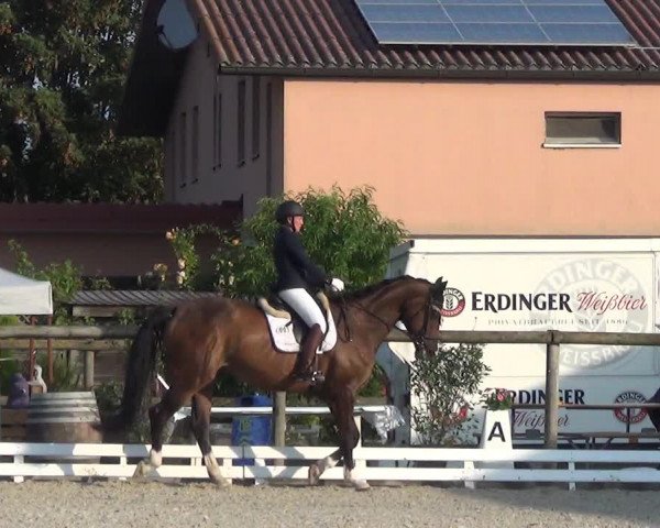 Reitturnier Dompierre 2023