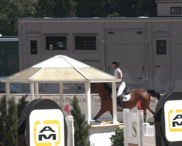 Reitturnier Ranshofen - Braunau am Inn 2023