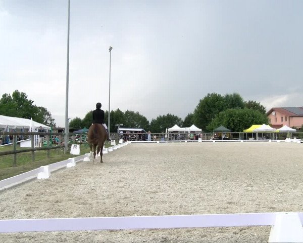 Reitturnier Dompierre 2023