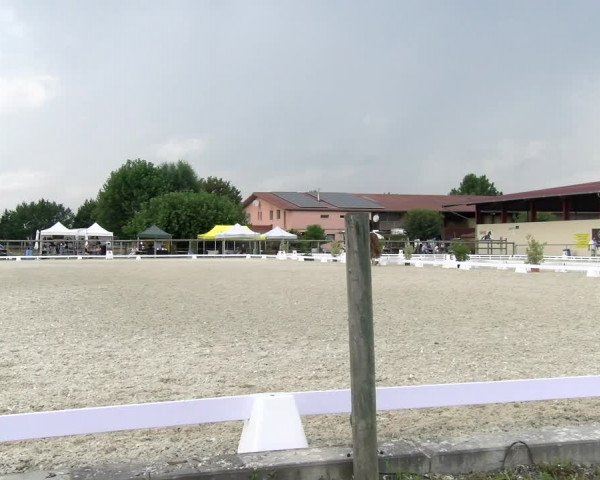Reitturnier Dompierre 2023