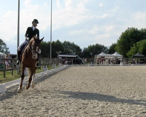 Reitturnier Dompierre 2023