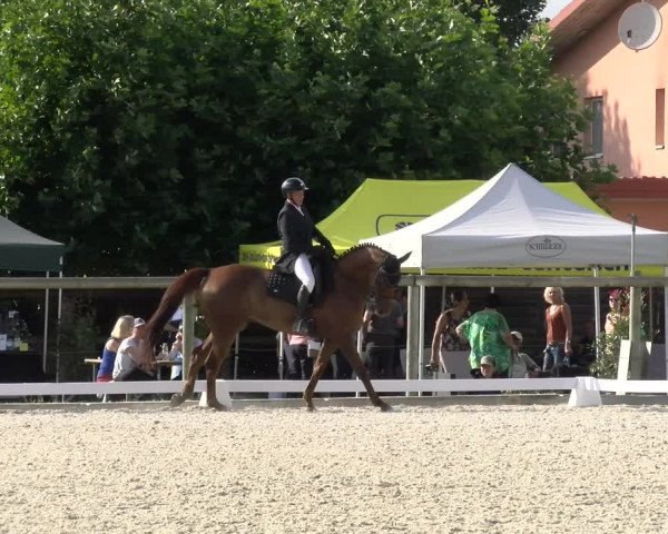 Reitturnier Dompierre 2023