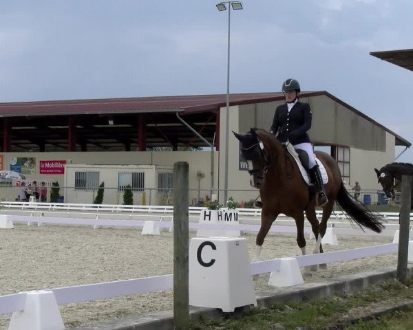 Reitturnier Dompierre 2023