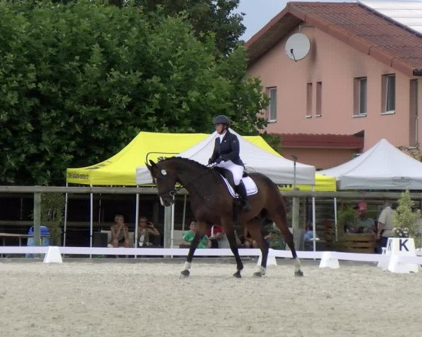 Reitturnier Dompierre 2023