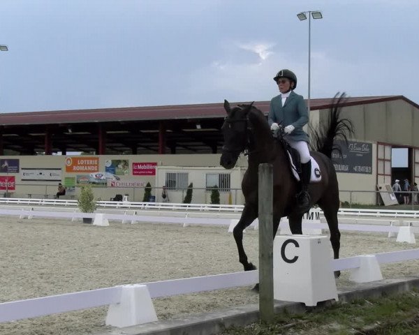 Reitturnier Dompierre 2023