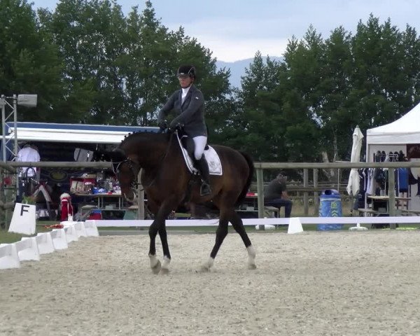 Reitturnier Dompierre 2023