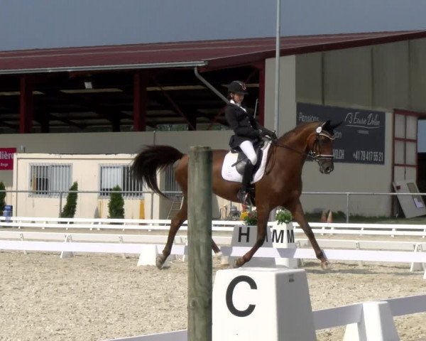 Reitturnier Dompierre 2023