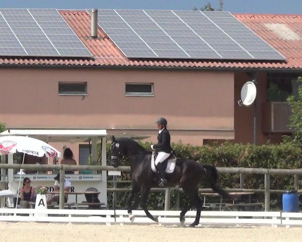 Reitturnier Dompierre 2023