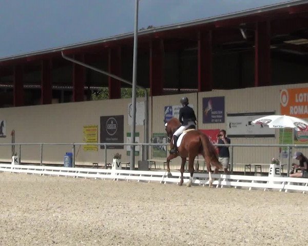 Reitturnier Dompierre 2023
