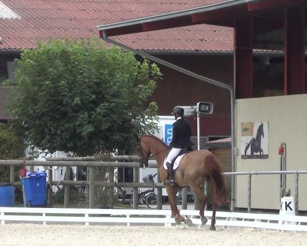 Reitturnier Dompierre 2023