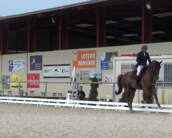Reitturnier Dompierre 2023